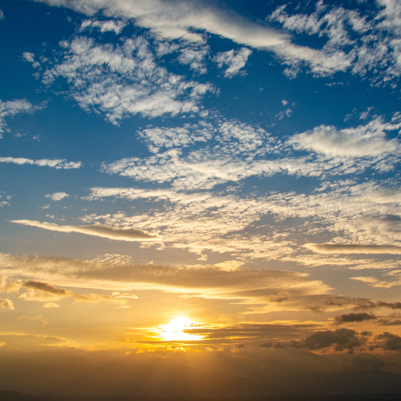 Responding to the Covenant