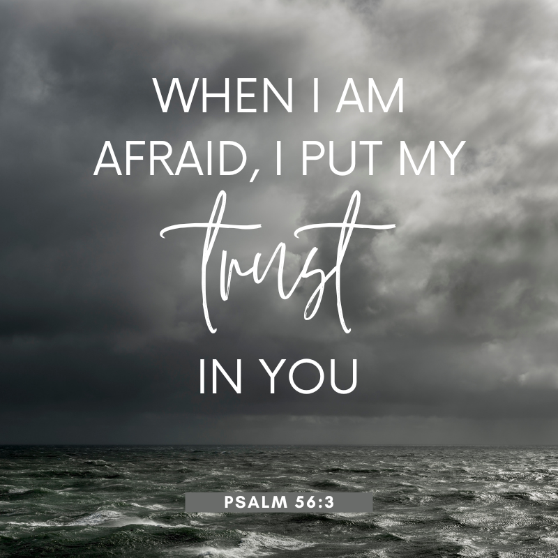 Living by Every Word