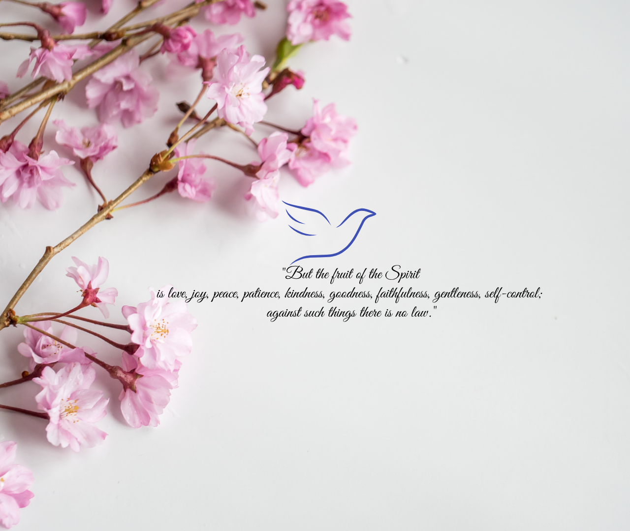 The Holy Spirit: Producing Obedient Fruit