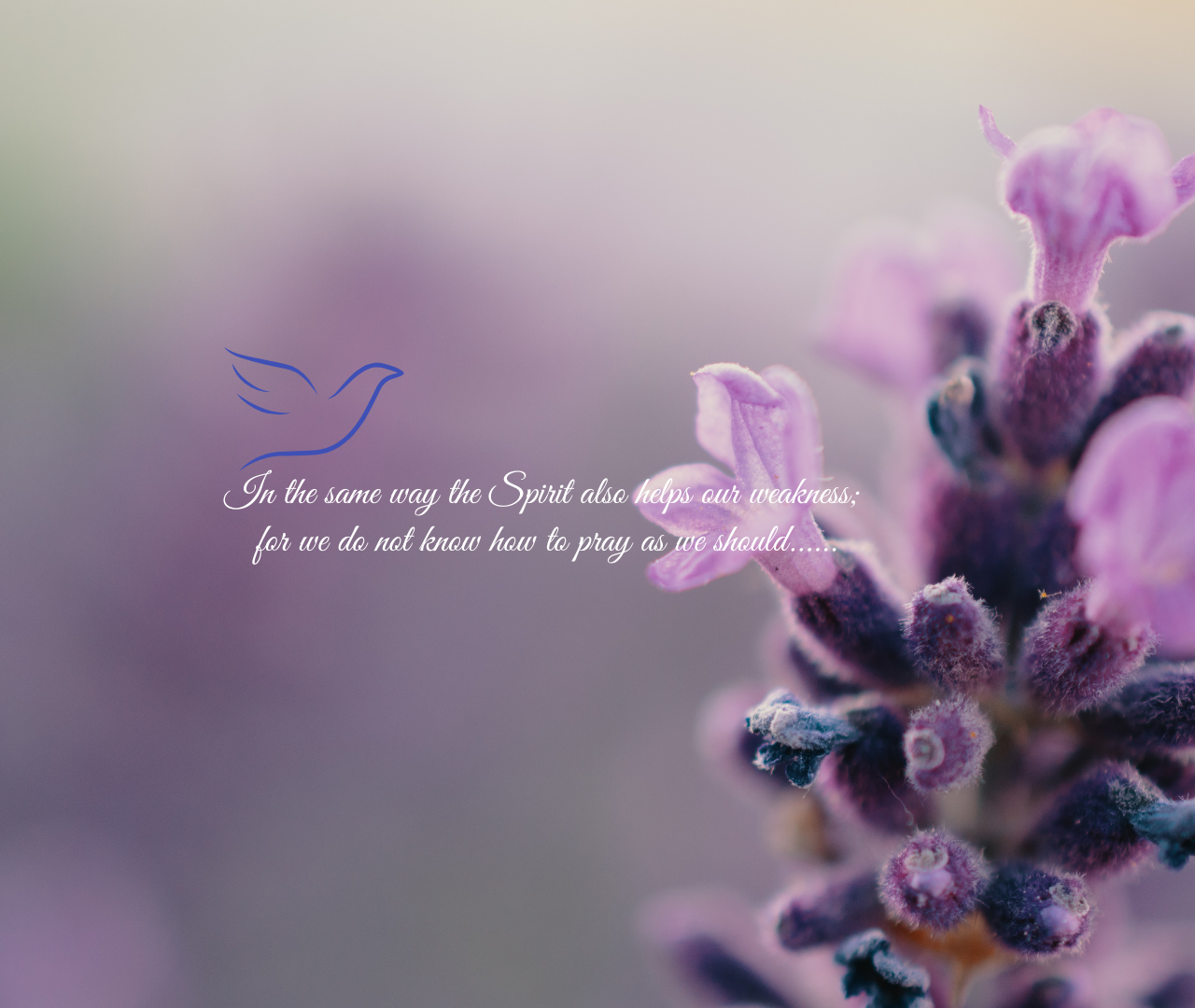 The Holy Spirit: Interceding for Obedient Prayer