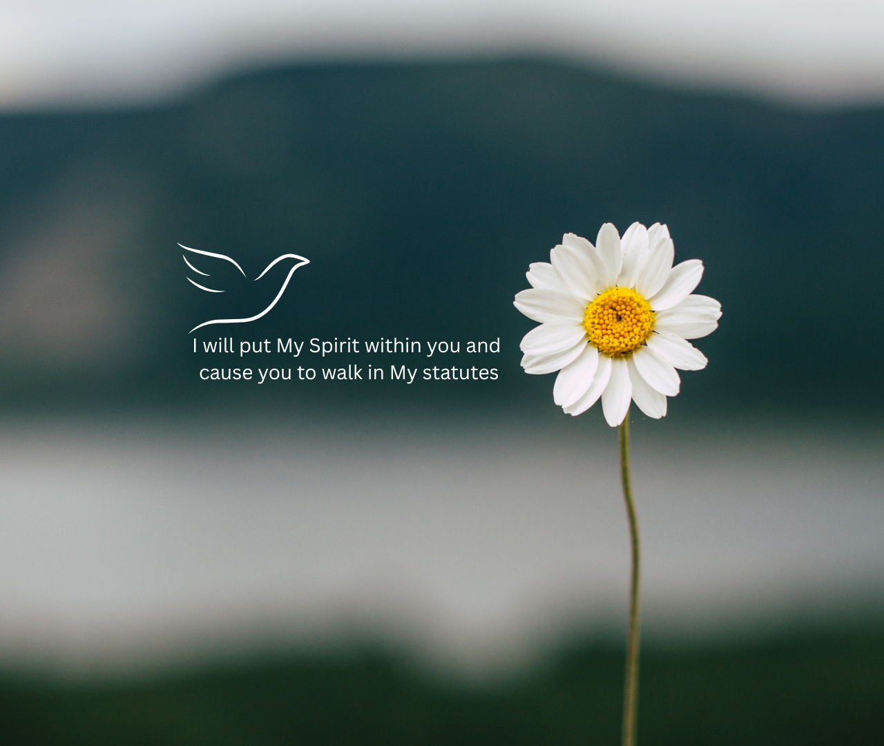 The Holy Spirit: Renewing Our Minds for Obedience
