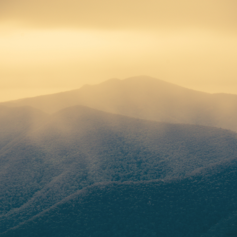  The Source of Christian Obedience